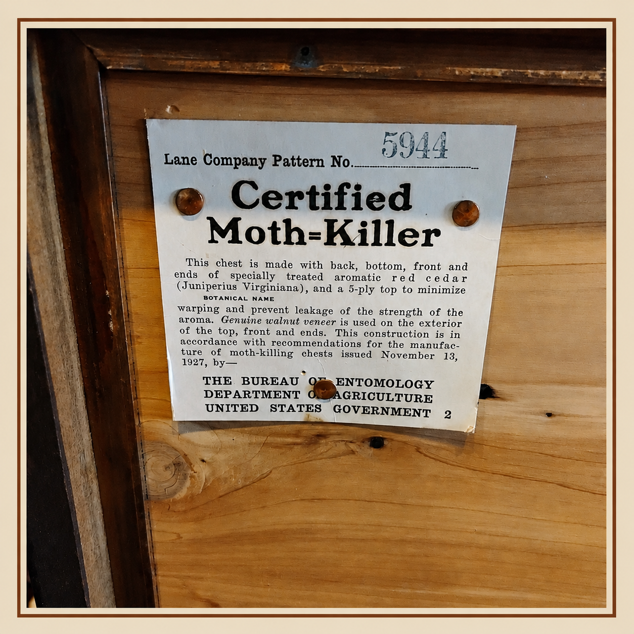 Original Lane Company Pattern No. 5944 Certified Moth-Killer label inside vintage Lane cedar chest.